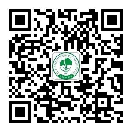 动漫色情网站