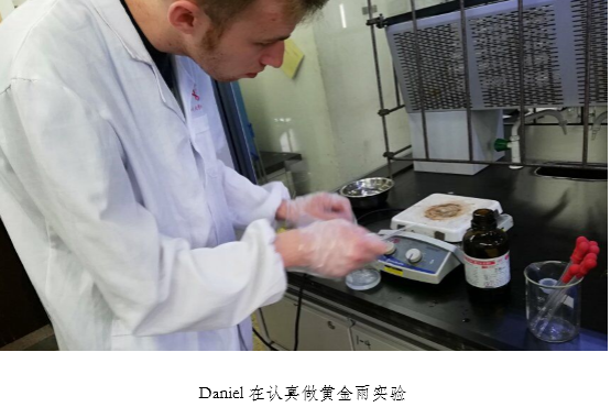 动漫色情网站