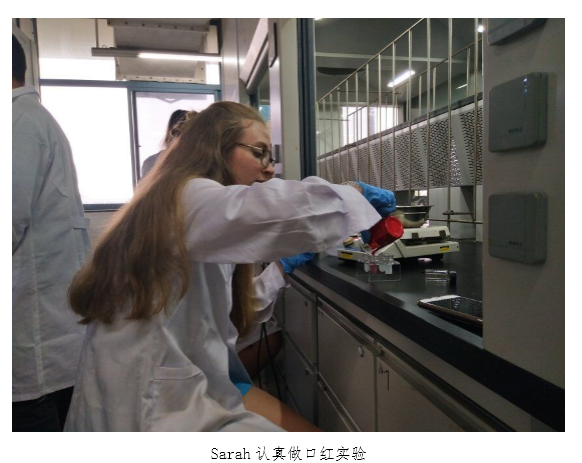 动漫色情网站