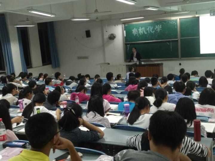 动漫色情网站