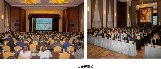 动漫色情网站